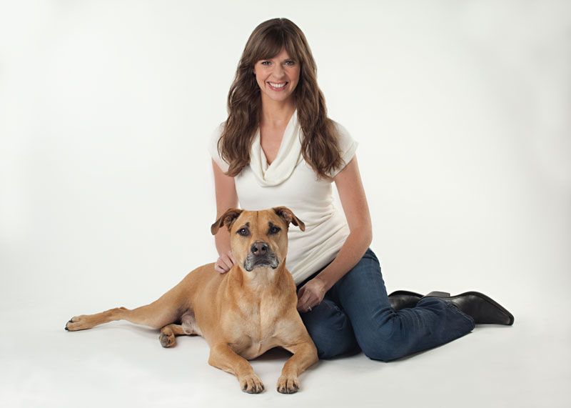 5 Reasons to Adopt a Senior Dog by Victoria Stilwell The Grey Muzzle Organization