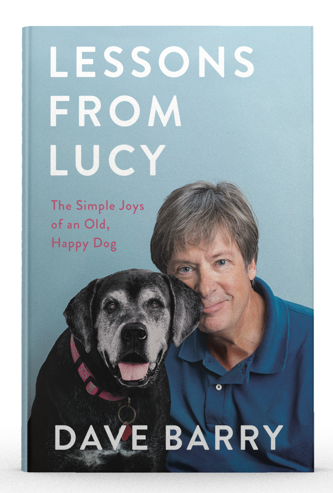 Front cover book shot of Lessons from Lucy by Dave Barry