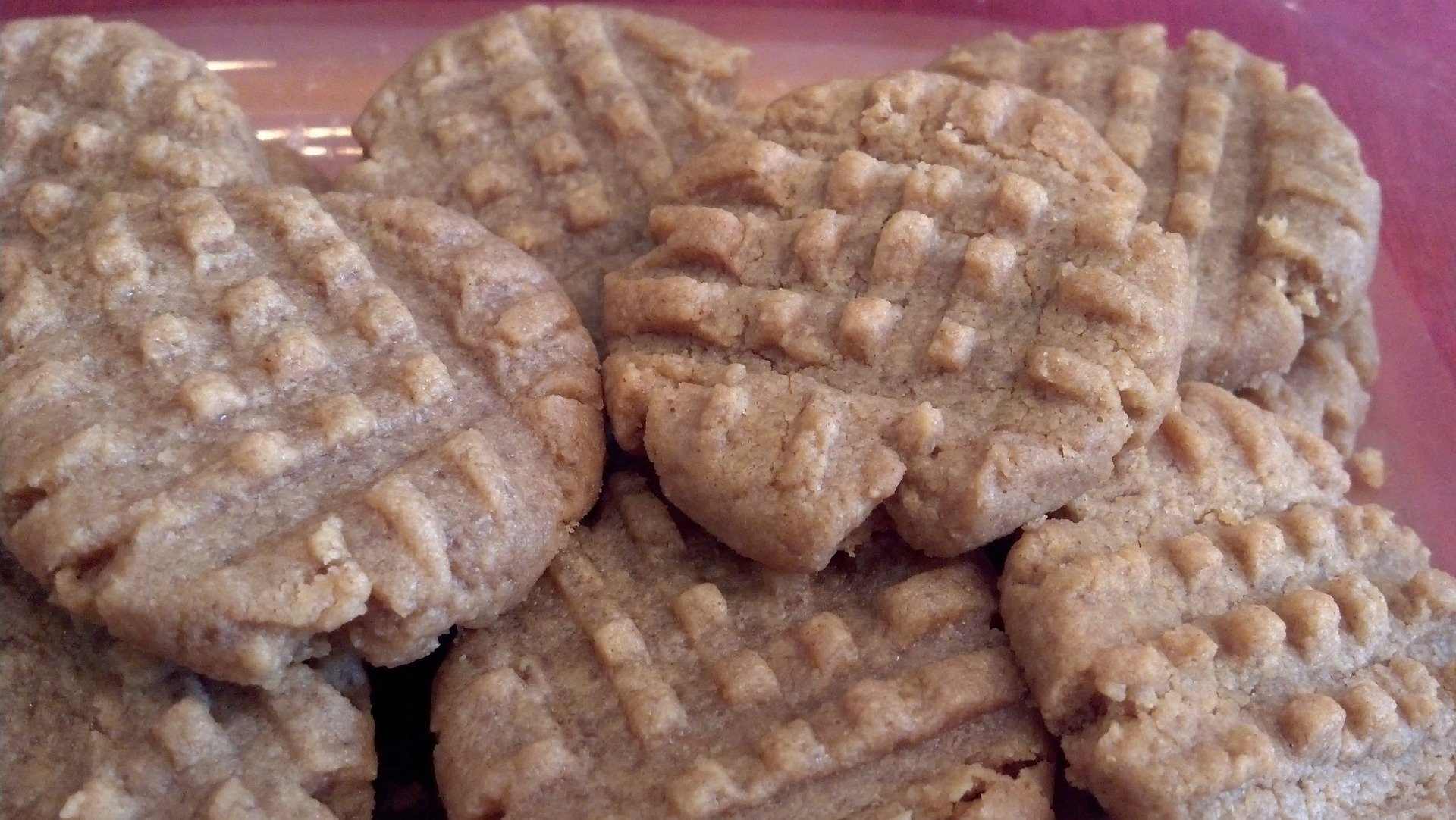 Dog cookies Pumpkin Sweet Potato Dog Cookies
