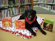 Conan Black dog at library