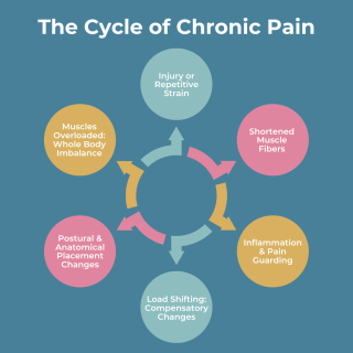 the cycle of chronic pain chart