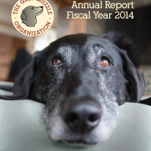 Cover of 2014 Annual Fiscal Year Report