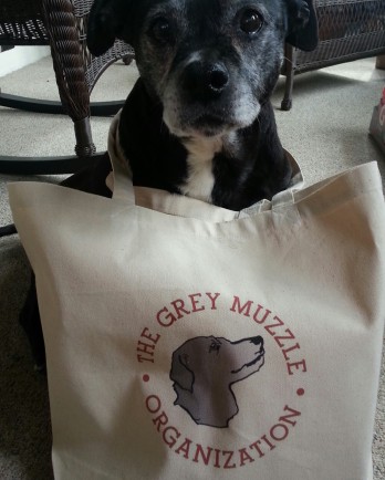 Mabel and her Grey Muzzle tote bag