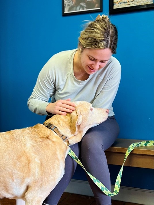 Dallas being pet tan dog being pet by woman