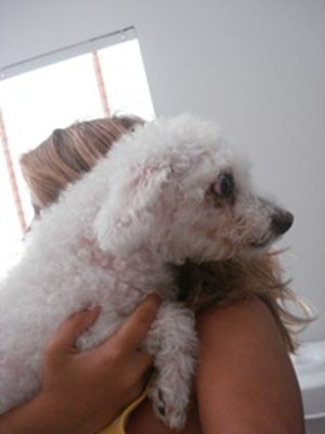 Muffin