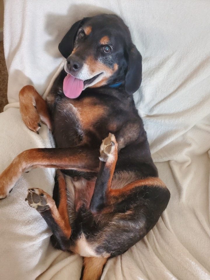 Wilbur Wilbur