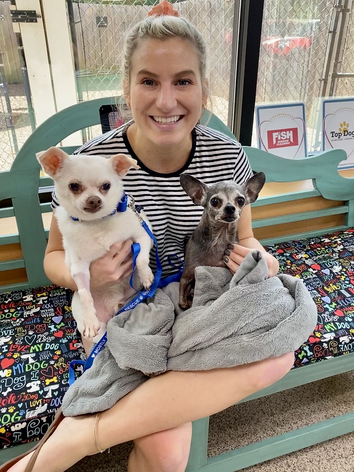 Bart and his new sibling with mom two small dogs in the lap of a blonde woman