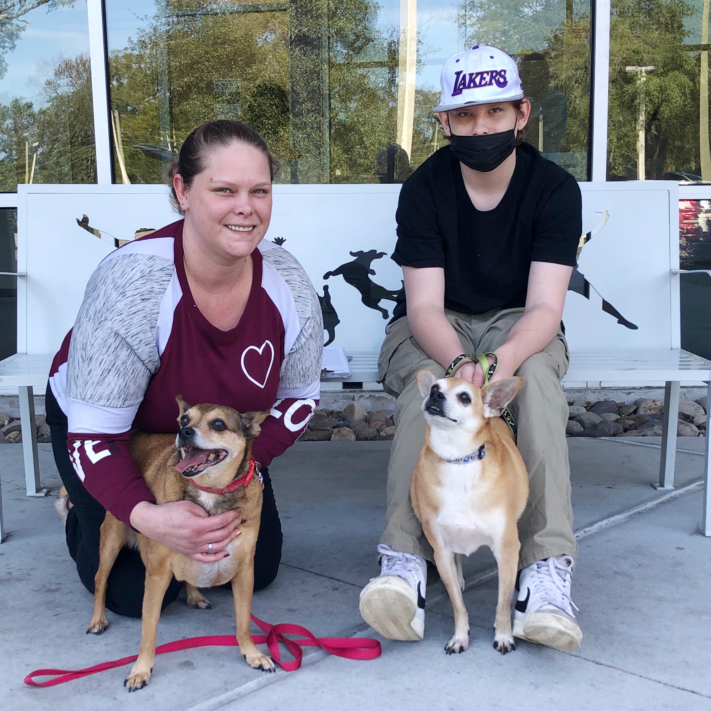 Bentley and Tyson with new family two dogs with new family