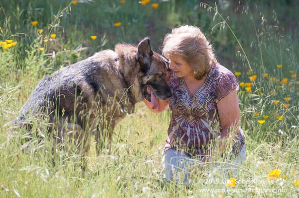 54 Best Pictures Unconditional Love Pet Rescue / Unconditional Love Quotes For Pets. QuotesGram