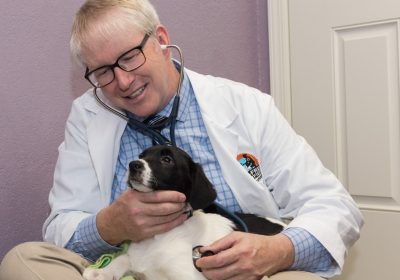 dr becker veterinarian