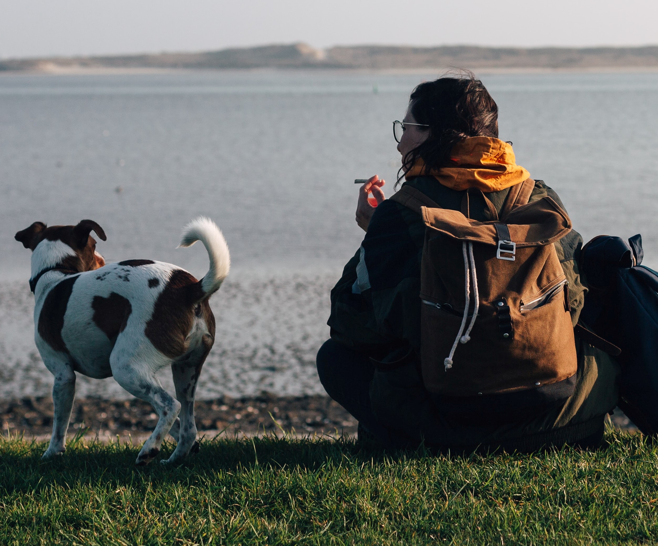 Woman on beach smoking by dog Woman on beach smoking by dog