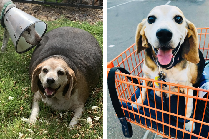 Wolfgang Before and After