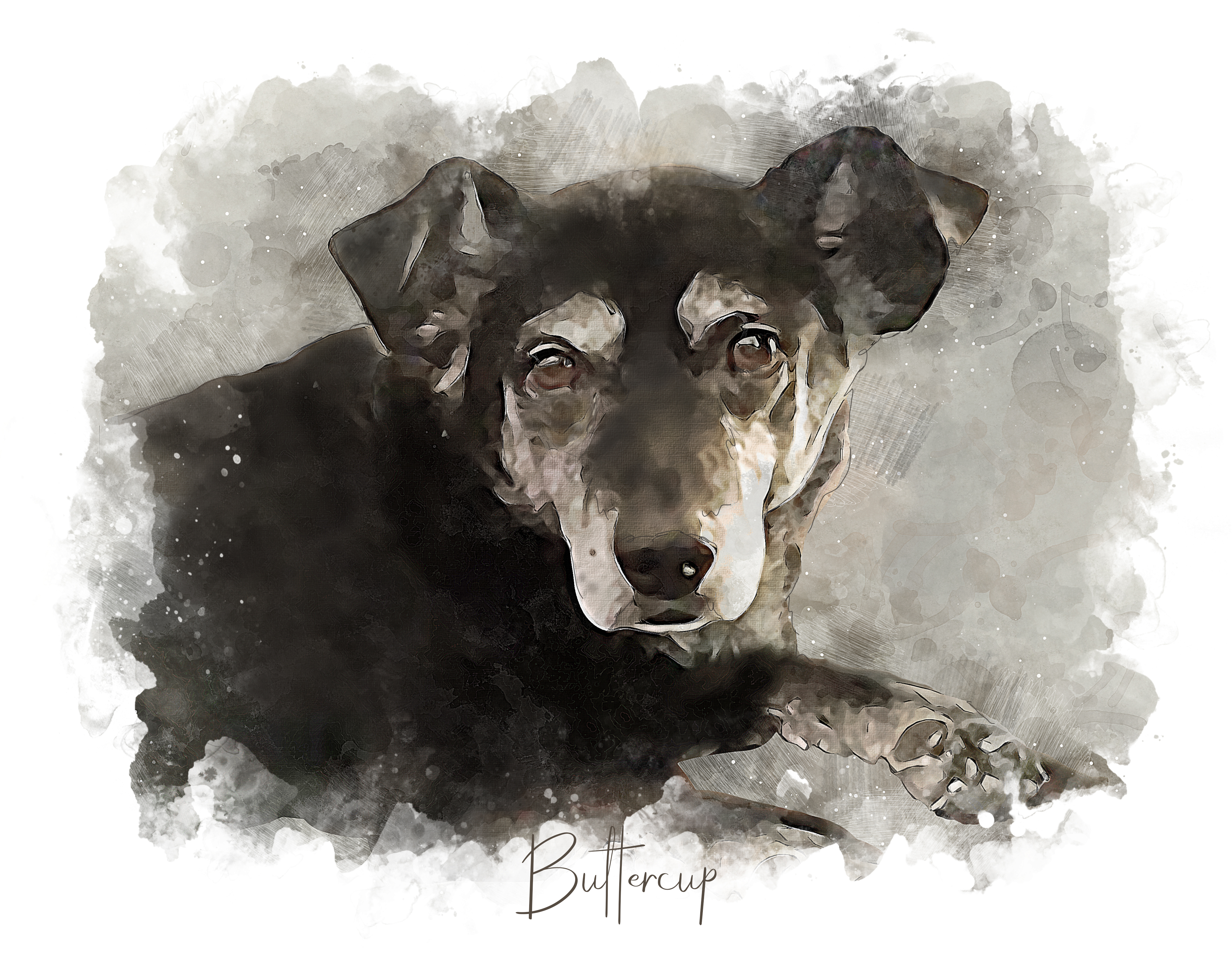 Print of Buttercup