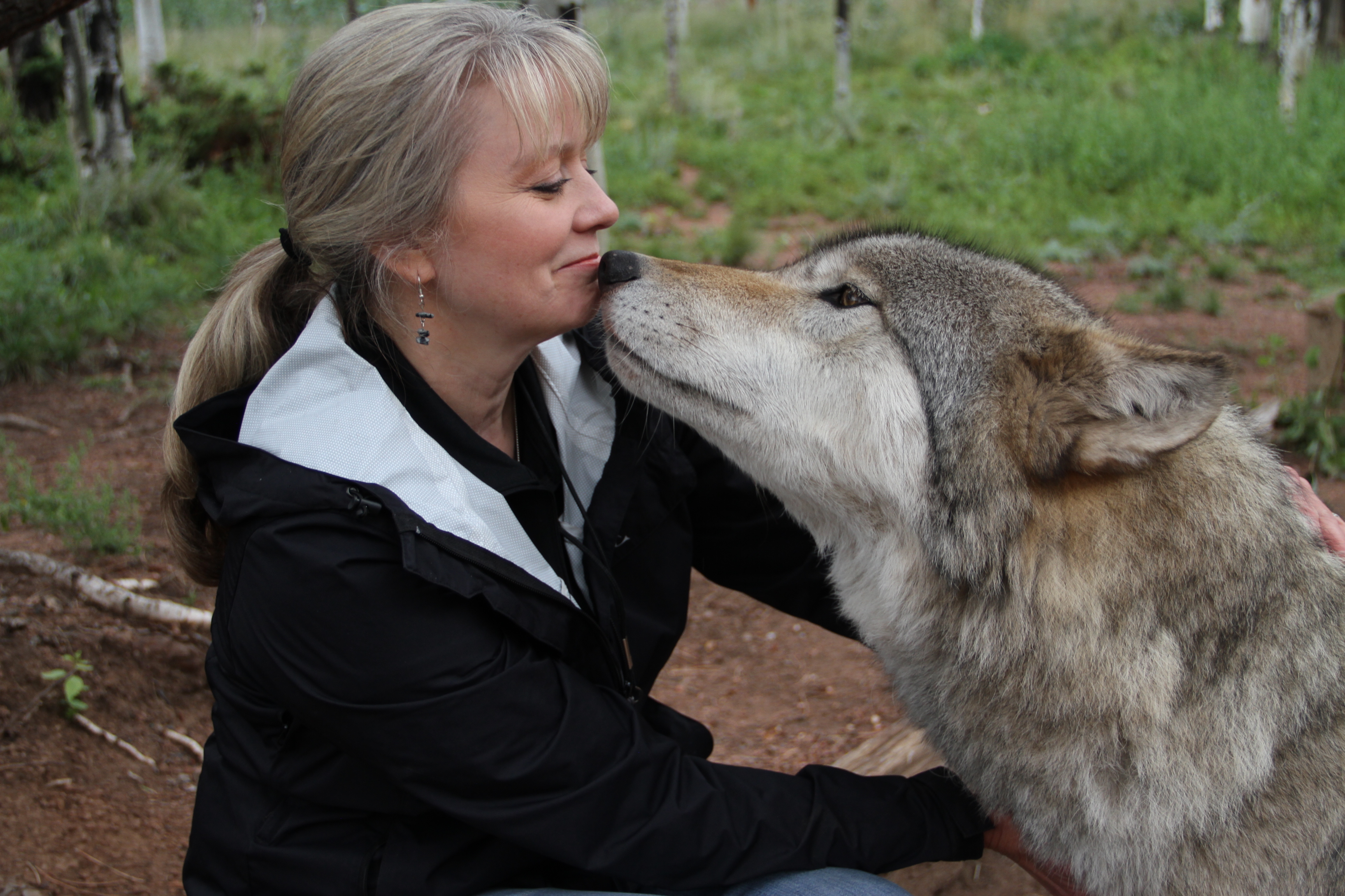 Beth and Kekoa face to face woman and grey wolf dog face to face