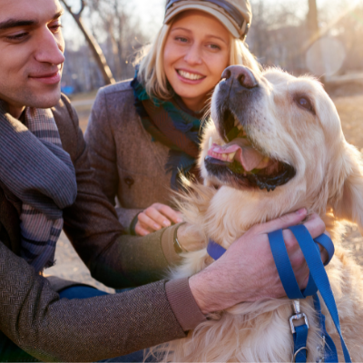 Dog Getting Attention Out for a Walk