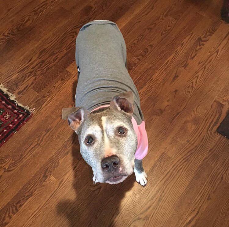 Faye wearing a sweater Faye wearing a sweater