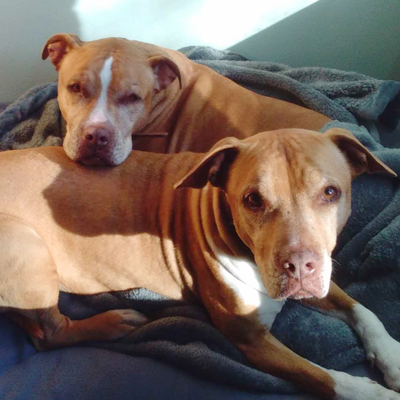 Frick and Frack
