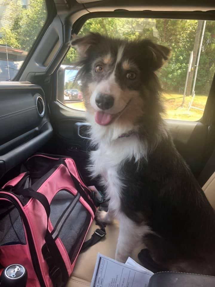 Sally riding in car Sally riding in car