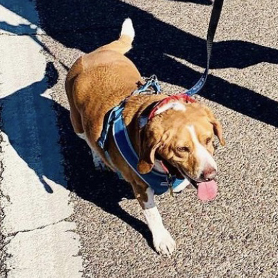 Jameson Walking