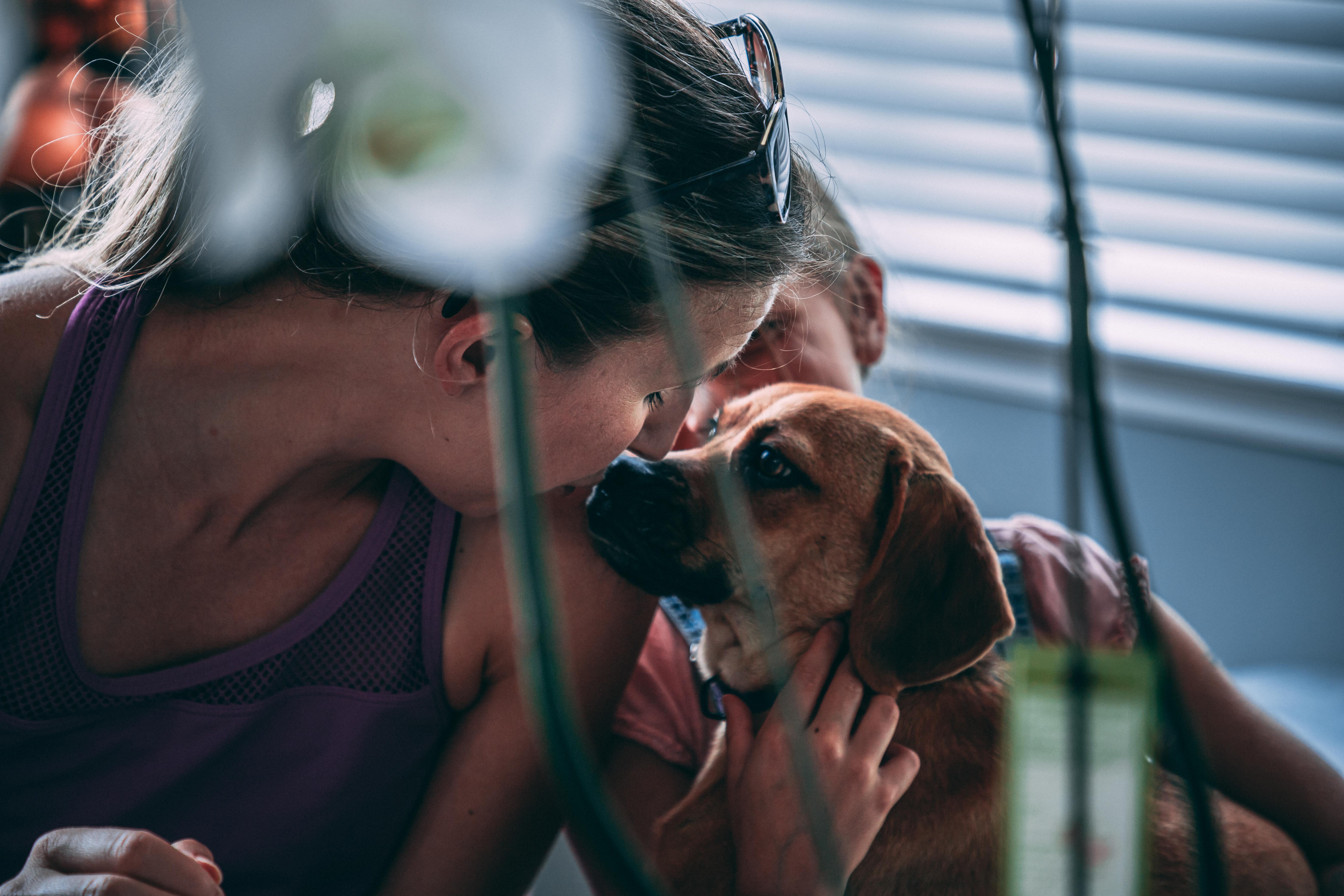Lady and daughter with dog Lady and daughter with dog