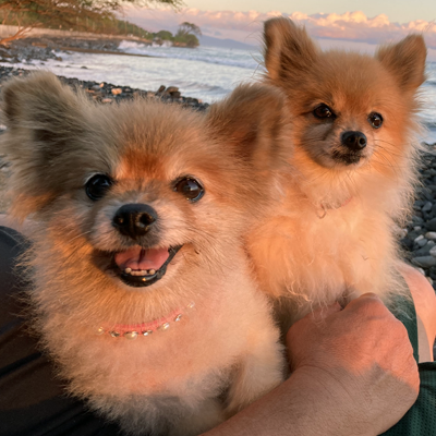 lilkimonbeach