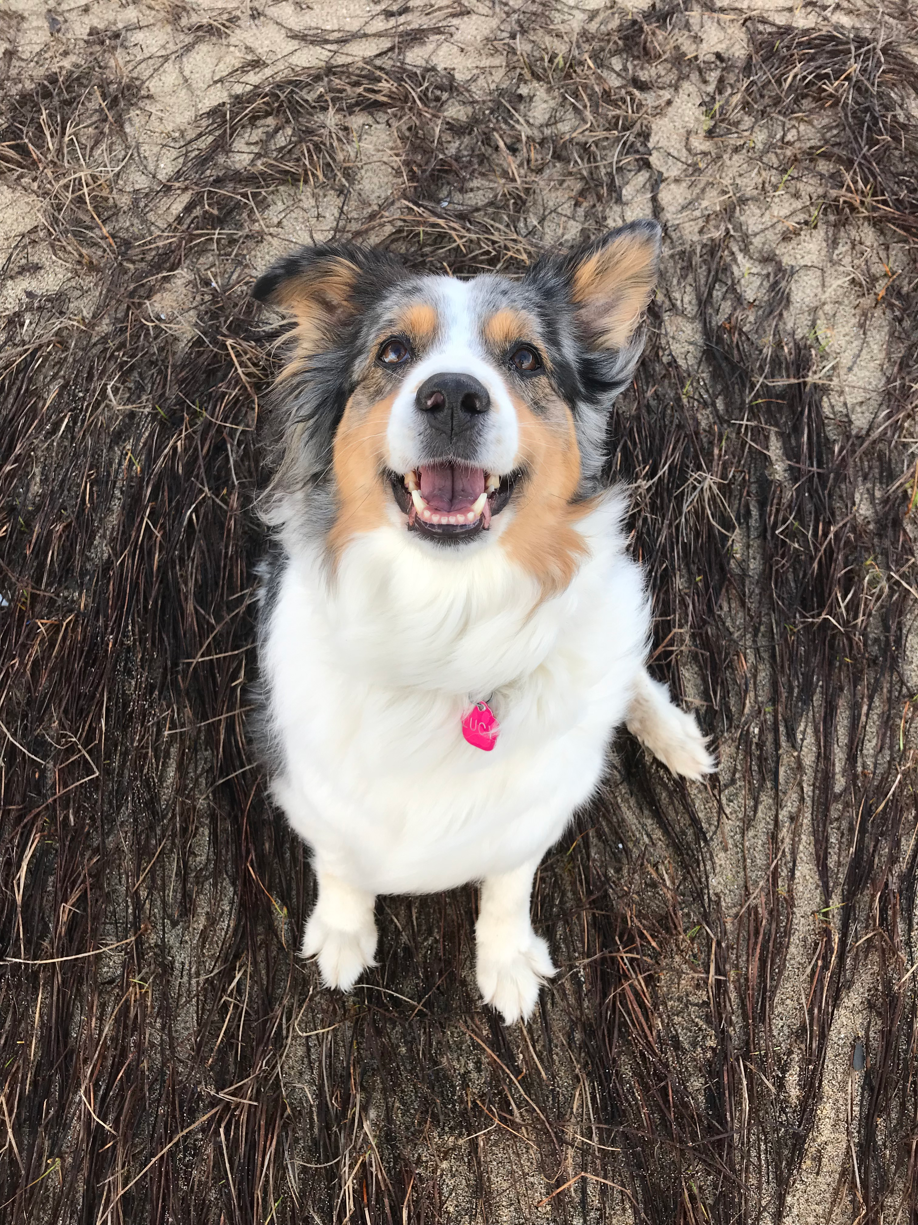 Lucy Lucy