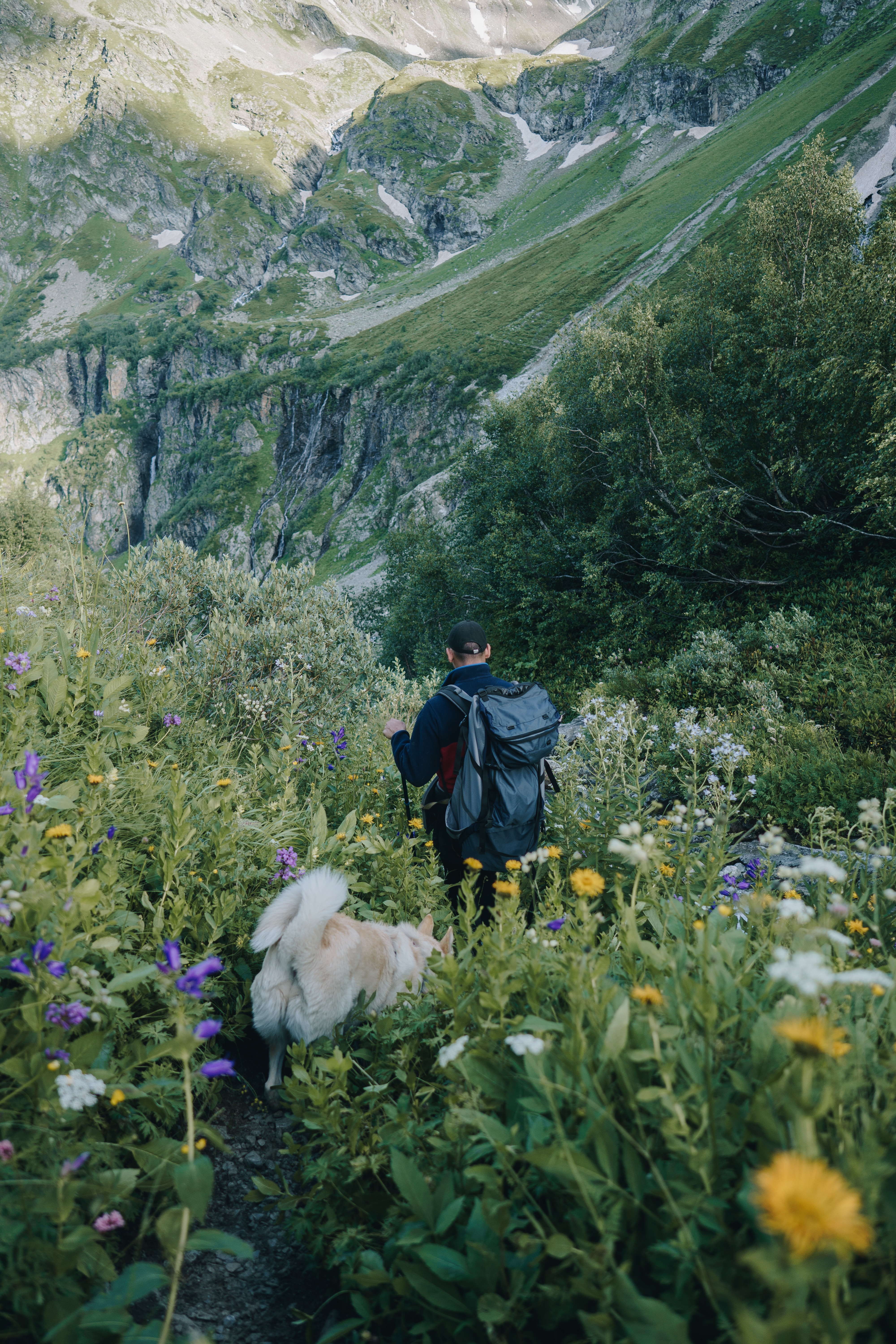 Man hiking with dog