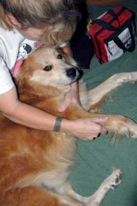 Massage