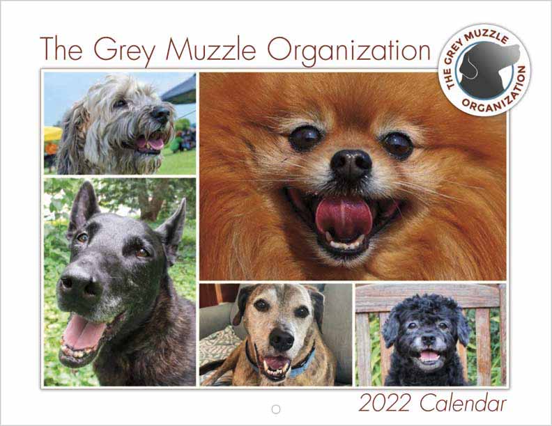 Grey Muzzle 2022 Calender