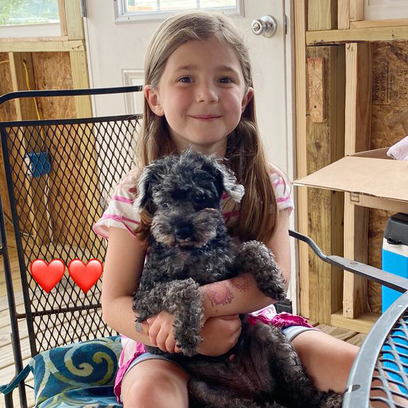 black poodle and young girl
