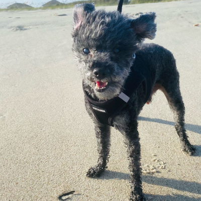 Peanut Beach