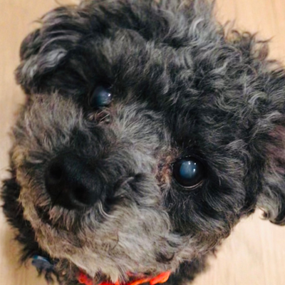 Peanut Up Close