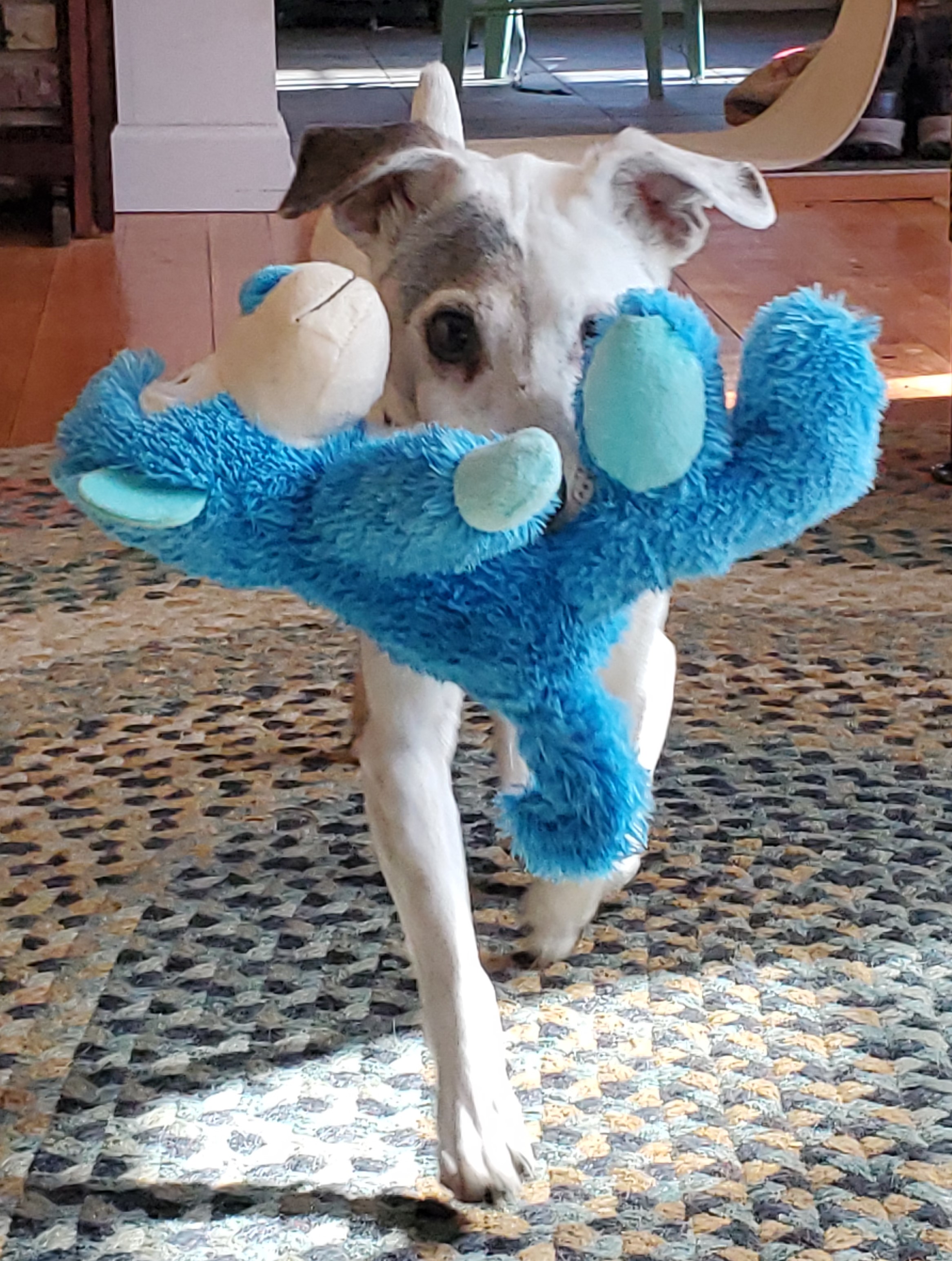 Petey Found House Interfaith Housing Network
