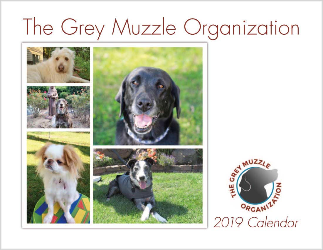 Calendar cover with 5 dogs pictured in various poses.