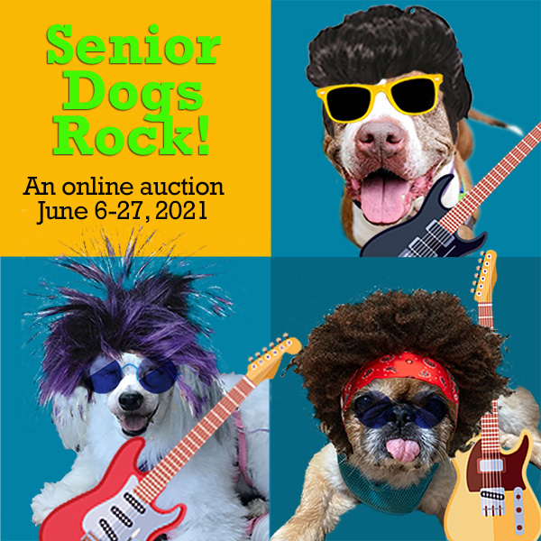 Senior Dogs Rock! graphic Senior Dogs Rock! graphic
