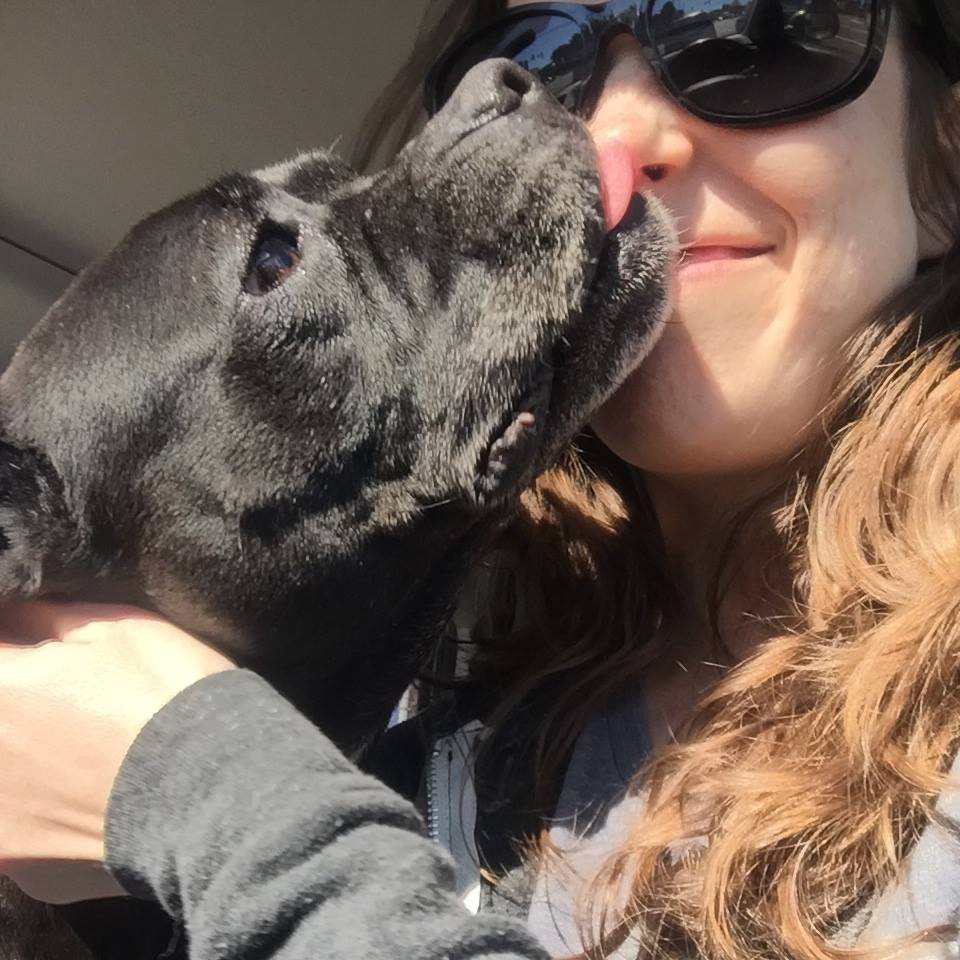 Pepper The Grey Muzzle Organization