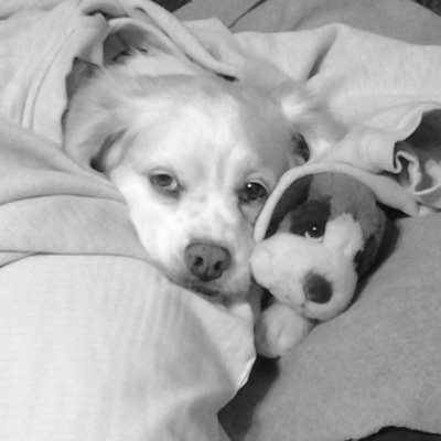 Shamrock Snuggle