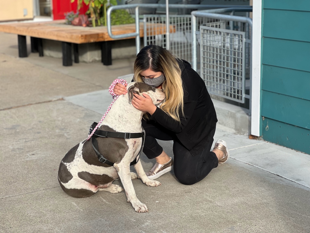 dog and human nuzzling