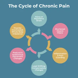 the cycle of chronic pain chart the cycle of chronic pain chart