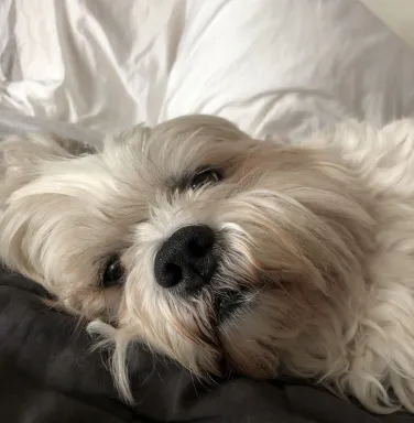 Mrs.Pants
