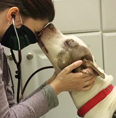 Gloria with Vet Gloria with Vet