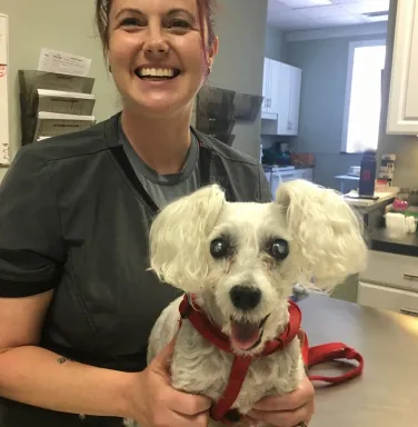 Vet tech and poodle Vet tech and poodle