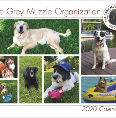 2020 calendar cover 2020 calendar cover
