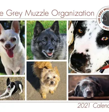 2021 Calendar Cover 2021 Calendar Cover