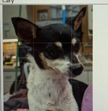black and white chi mix