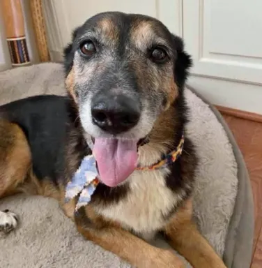 Ellie Mae