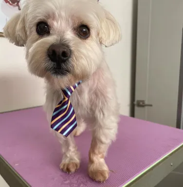 Friday with tie Friday with tie