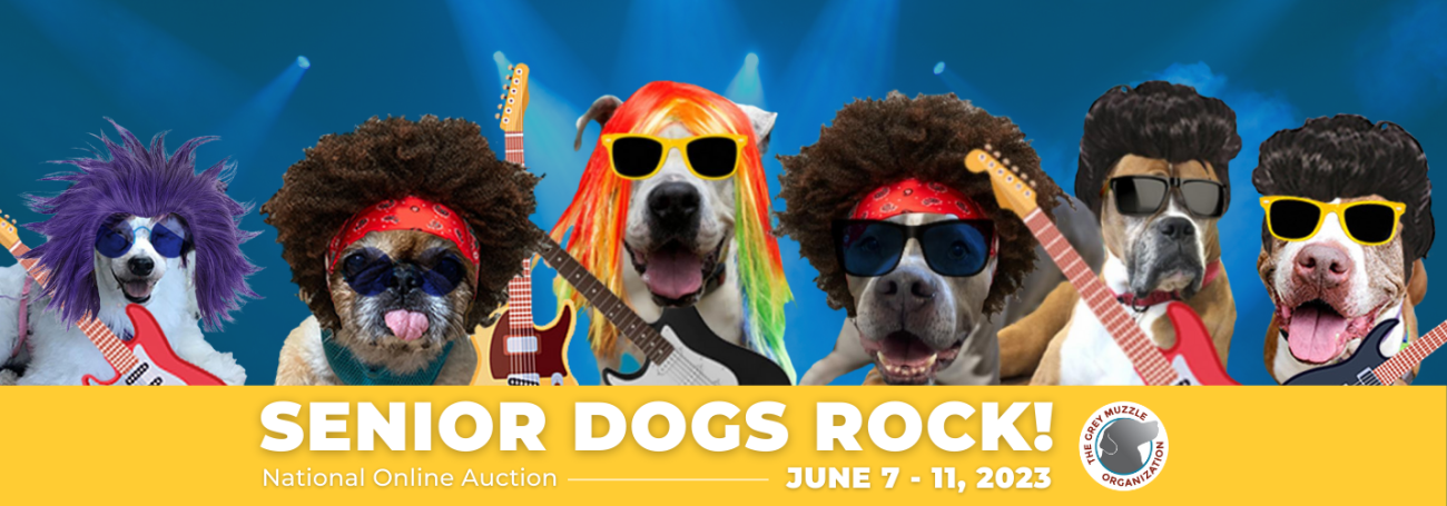 Senior Dogs Rock Auction