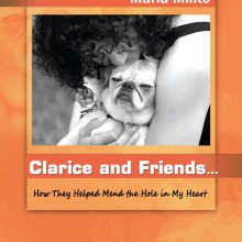 Milito's Book Cover of Clarice and Friends