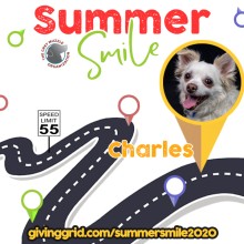 Charles Summer Smile
